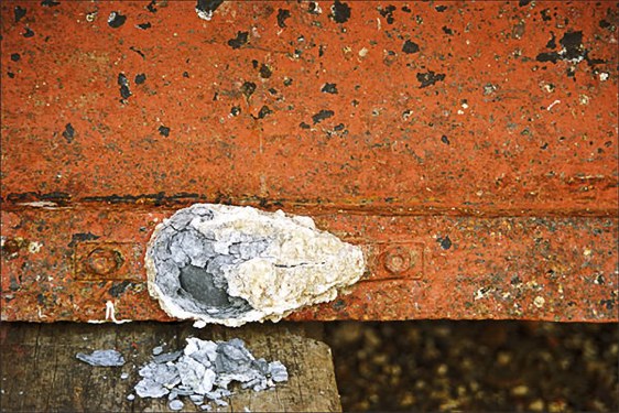 Carpenter - Clive (photography)