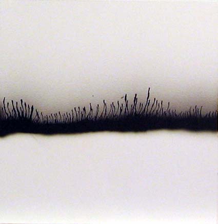 Jan - Wilkinson-Castle