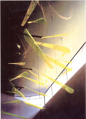Edmunds - Diana (mobile)