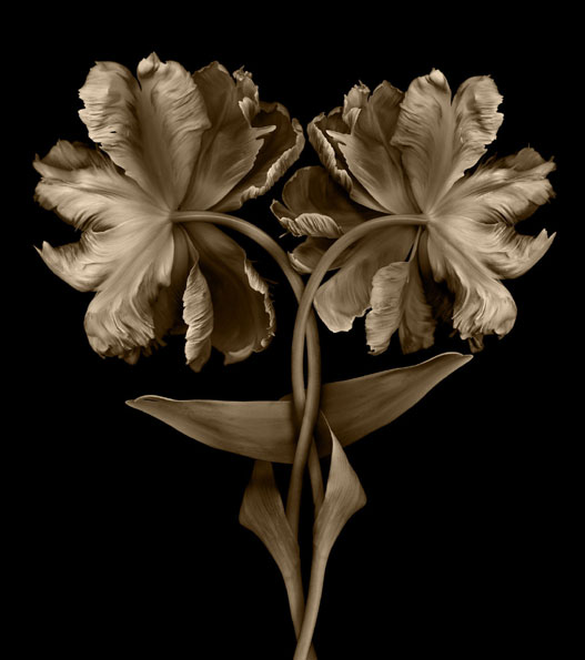 Allan Forsyth