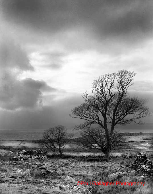 Gallagher - Paul (bw photography)