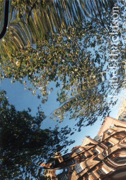 Hutchison - Isabel (photography)
