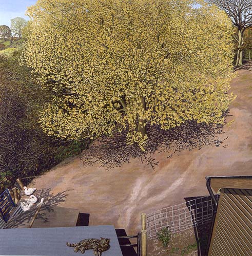 Inshaw - David
