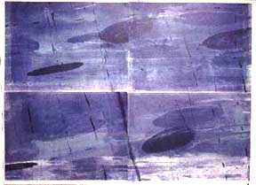 Myung Sook Chae