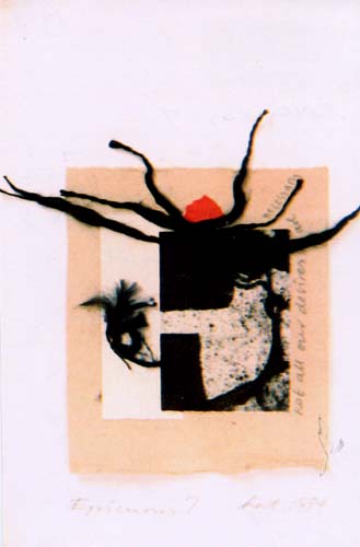 Nekanda-Trepka - Halina