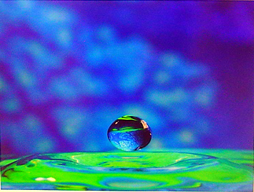 Pond - Steve