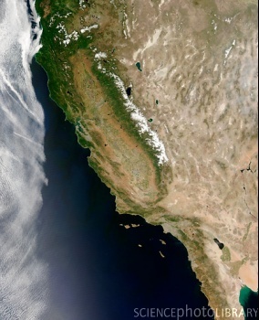 Science Photo Library