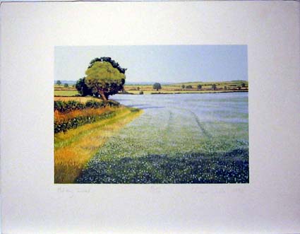 Wardle - Richard